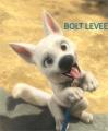 Bolt Levee's Avatar